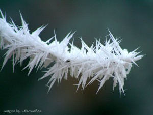dic-2005-heladas-034_web1