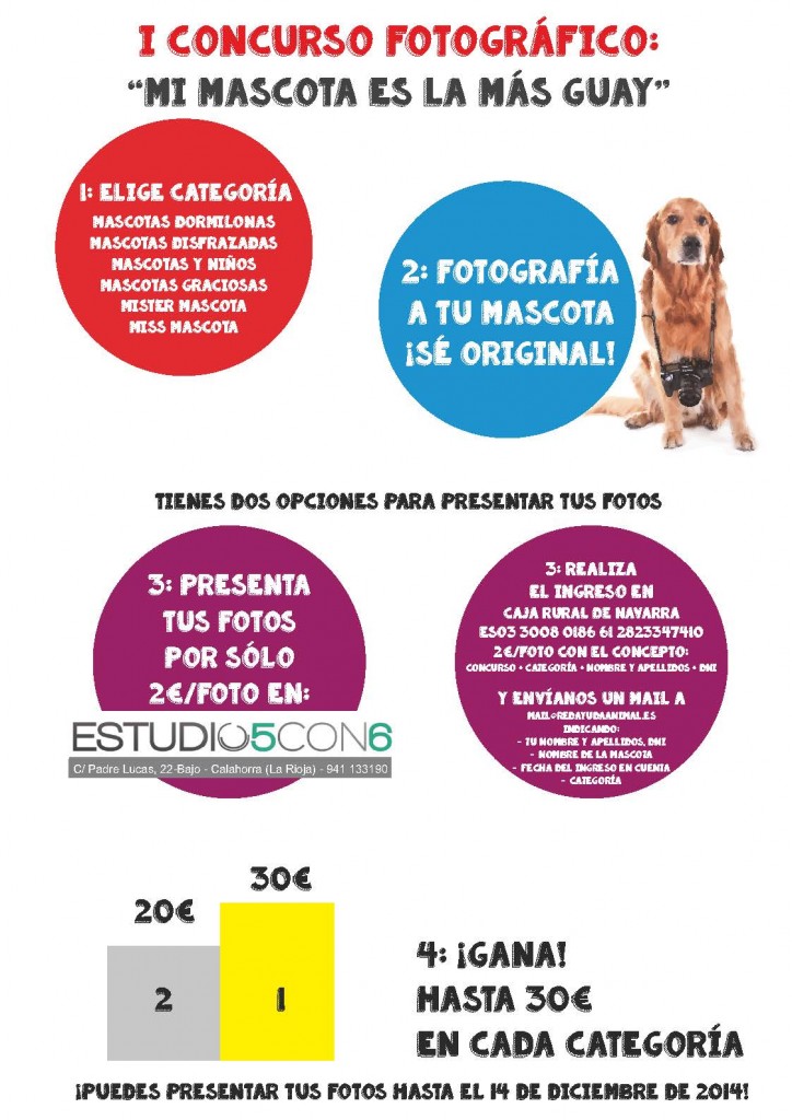 Cartel Final INSTRUCCIONES