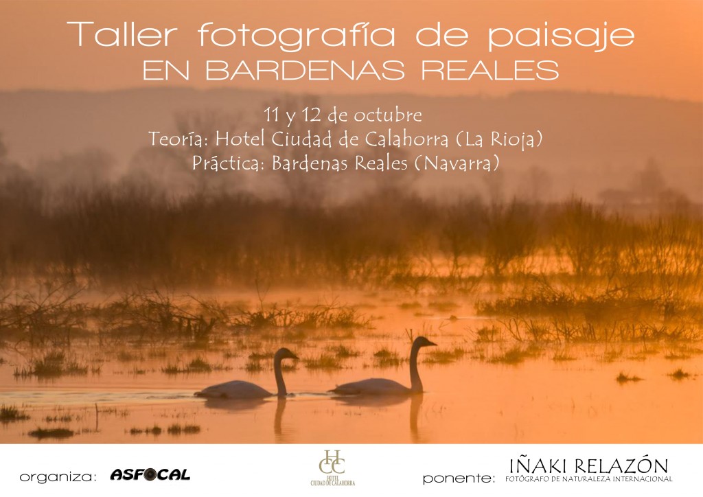 Cartel_IñakiRelazon modificado